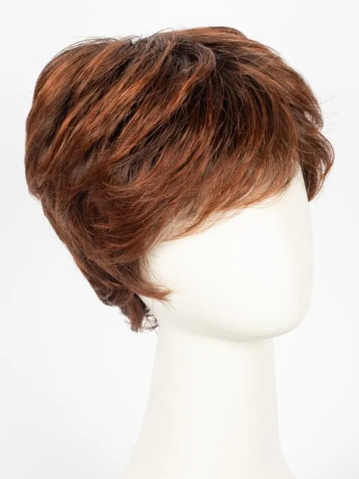 Accessories_Ellen Wille_Wigs Fair | Hair Power