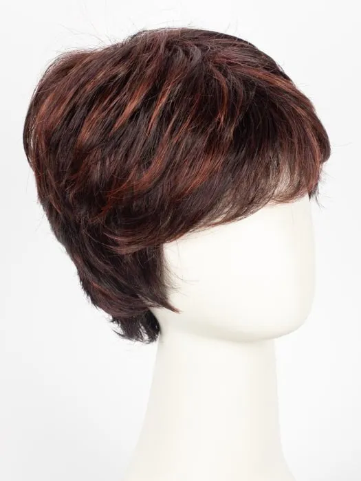 Accessories_Ellen Wille_Wigs Fair | Hair Power