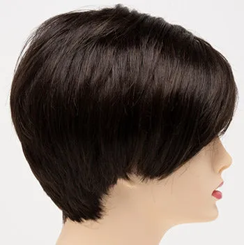Accessories_Envy_Wigs Amy