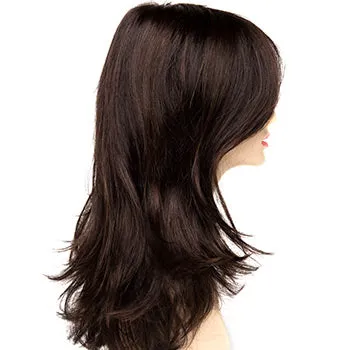 Accessories_Envy_Wigs Bobbi