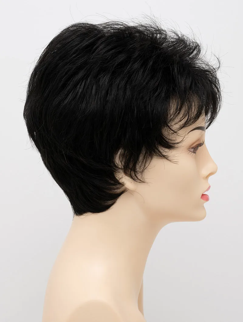 Accessories_Envy_Wigs Jacqueline Petite