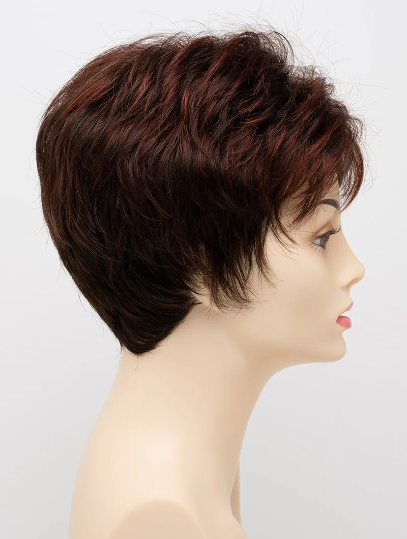 Accessories_Envy_Wigs Jacqueline Petite