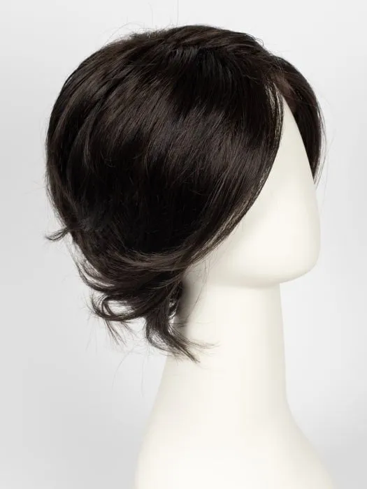 Accessories_Gabor_Wigs Hairpieces Sheer Elegance | Synthetic Lace Front Wig (Basic Cap)