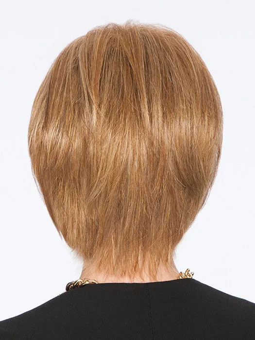 Accessories_Hairdo_Wigs SLEEK AND CHIC