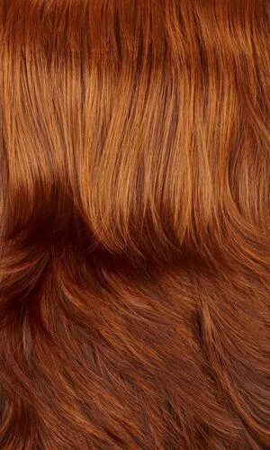 Accessories_Henry Margu_Wigs Bailey Wig by Henry Margu | Synthetic (Traditional Cap)