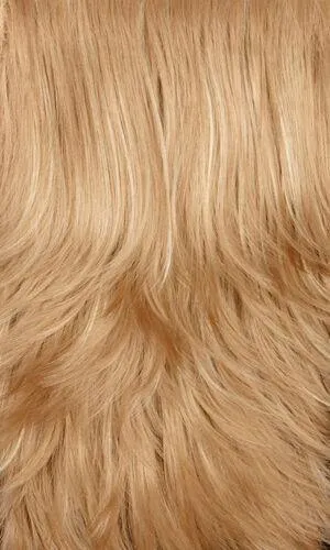 Accessories_Henry Margu_Wigs Bailey Wig by Henry Margu | Synthetic (Traditional Cap)