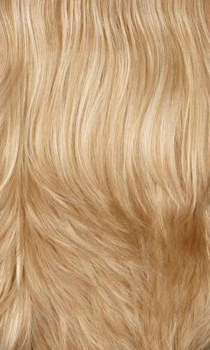 Accessories_Henry Margu_Wigs Bailey Wig by Henry Margu | Synthetic (Traditional Cap)