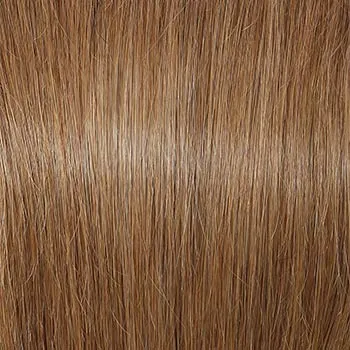 Accessories_Raquel Welch_Wigs Applause