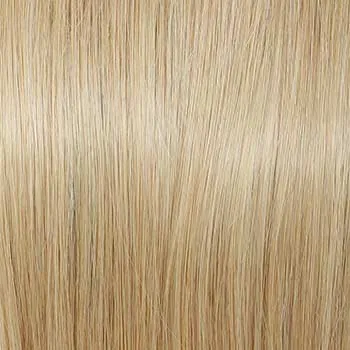 Accessories_Raquel Welch_Wigs Applause