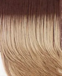 Accessories_Raquel Welch_Wigs Breeze Wig by Raquel Welch