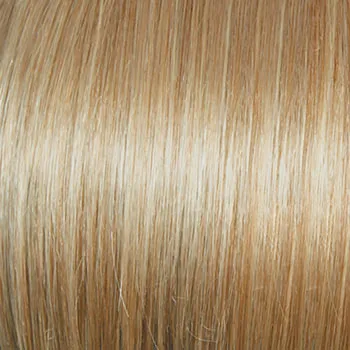 Accessories_Raquel Welch_Wigs Classic Cool Petite