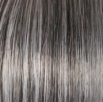 Accessories_Raquel Welch_Wigs Classic Cool Petite