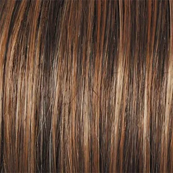 Accessories_Raquel Welch_Wigs Classic Cool Petite