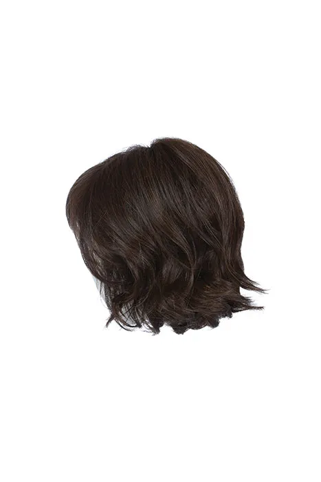 Accessories_Raquel Welch_Wigs crowd pleaser