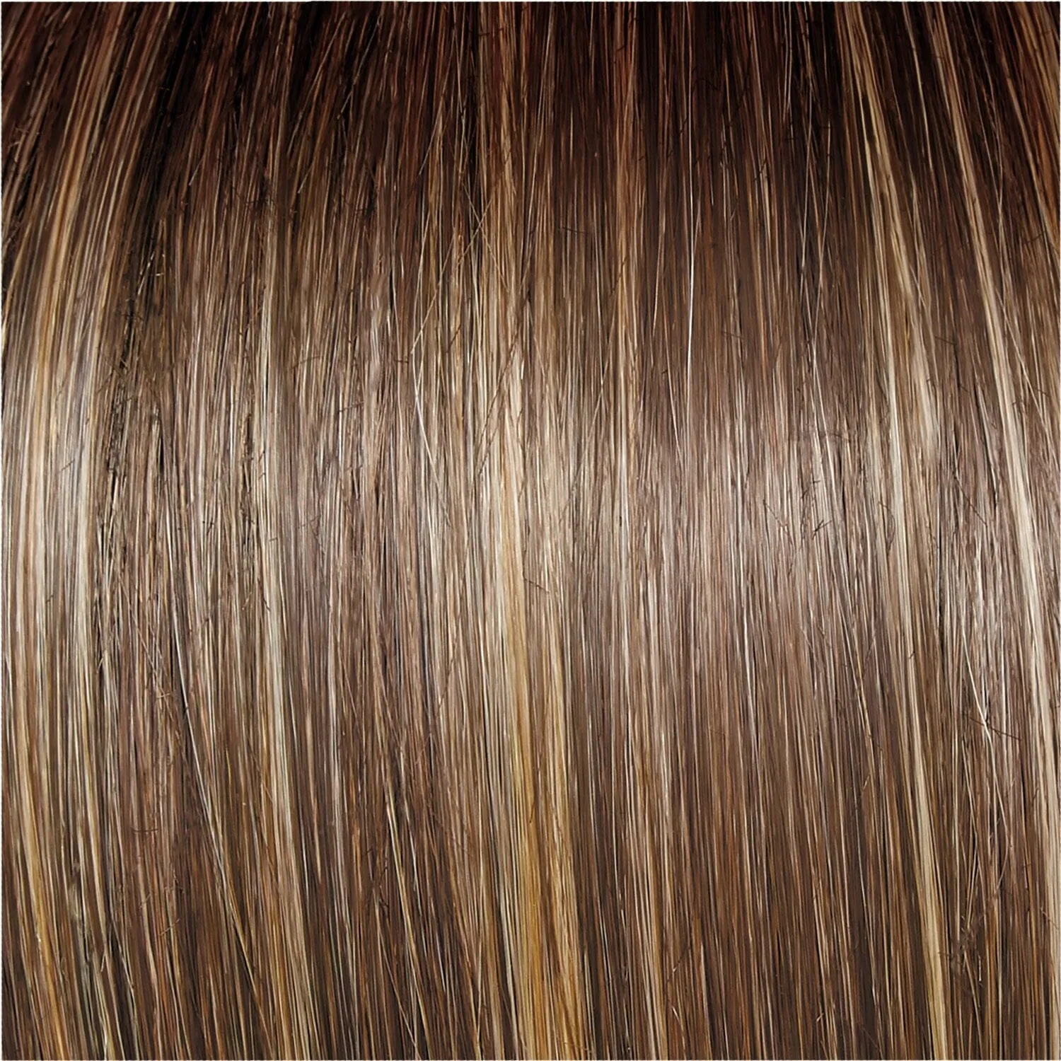 Accessories_Raquel Welch_Wigs On the Cover by Raquel Welch