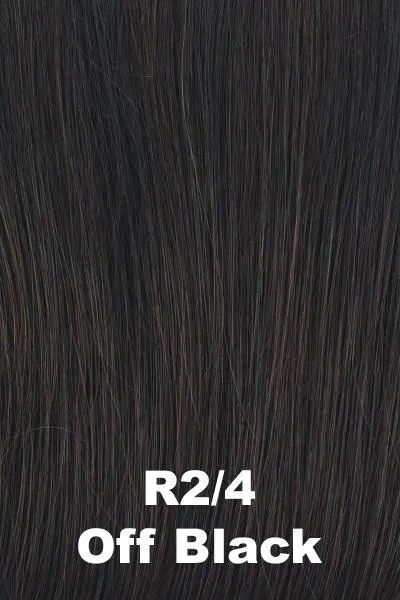 Accessories_Raquel Welch_Wigs Raquel Welch Wigs - Big Time