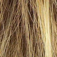 Accessories_Raquel Welch_Wigs Sparkle Synthetic Wig by Raquel Welch
