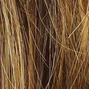 Accessories_Raquel Welch_Wigs Sparkle Synthetic Wig by Raquel Welch