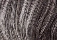 Accessories_Raquel Welch_Wigs Sparkle Synthetic Wig by Raquel Welch