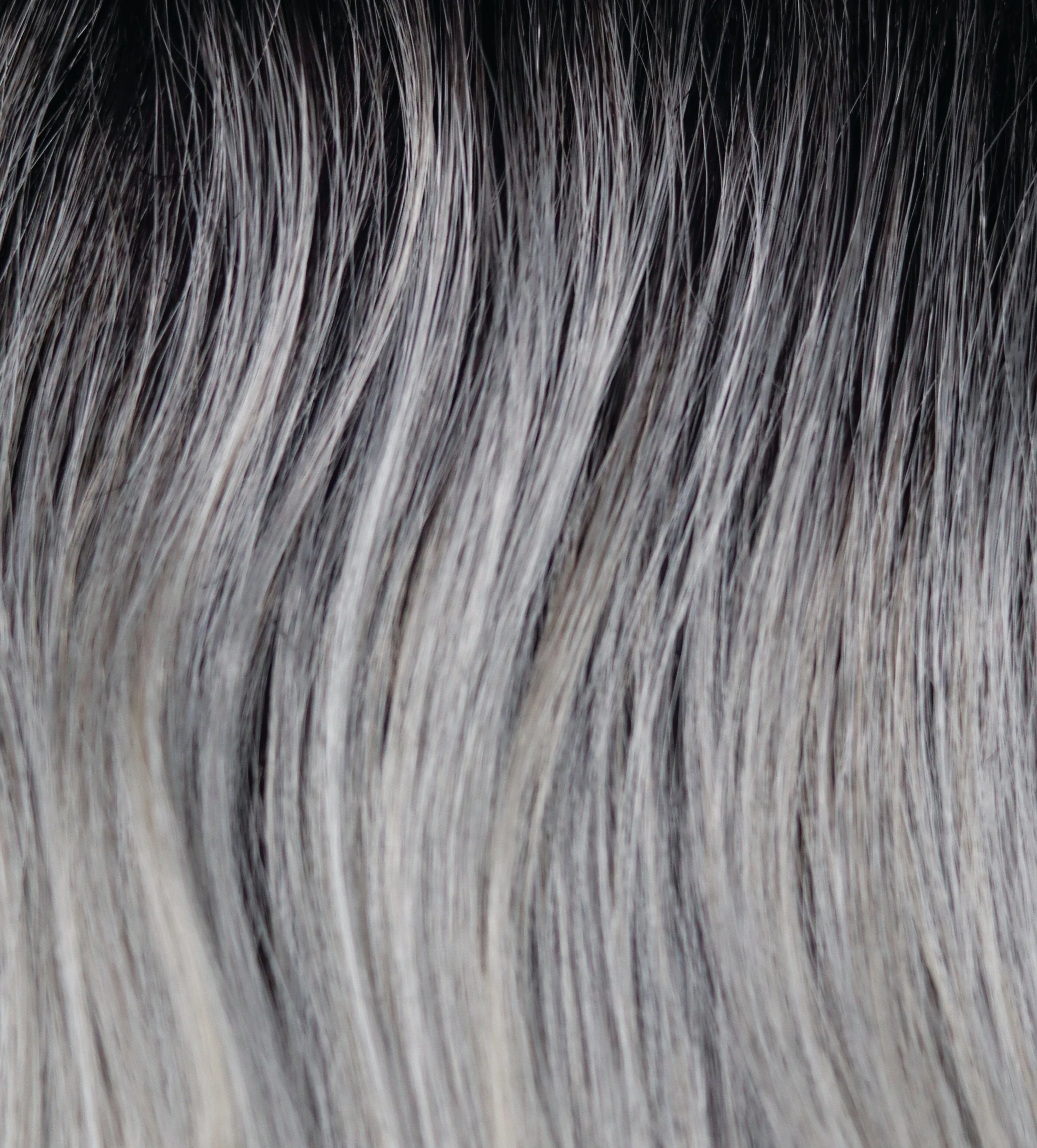 Accessories_Rene of Paris_Wigs Ensley Lace Front Wig by Rene of Paris