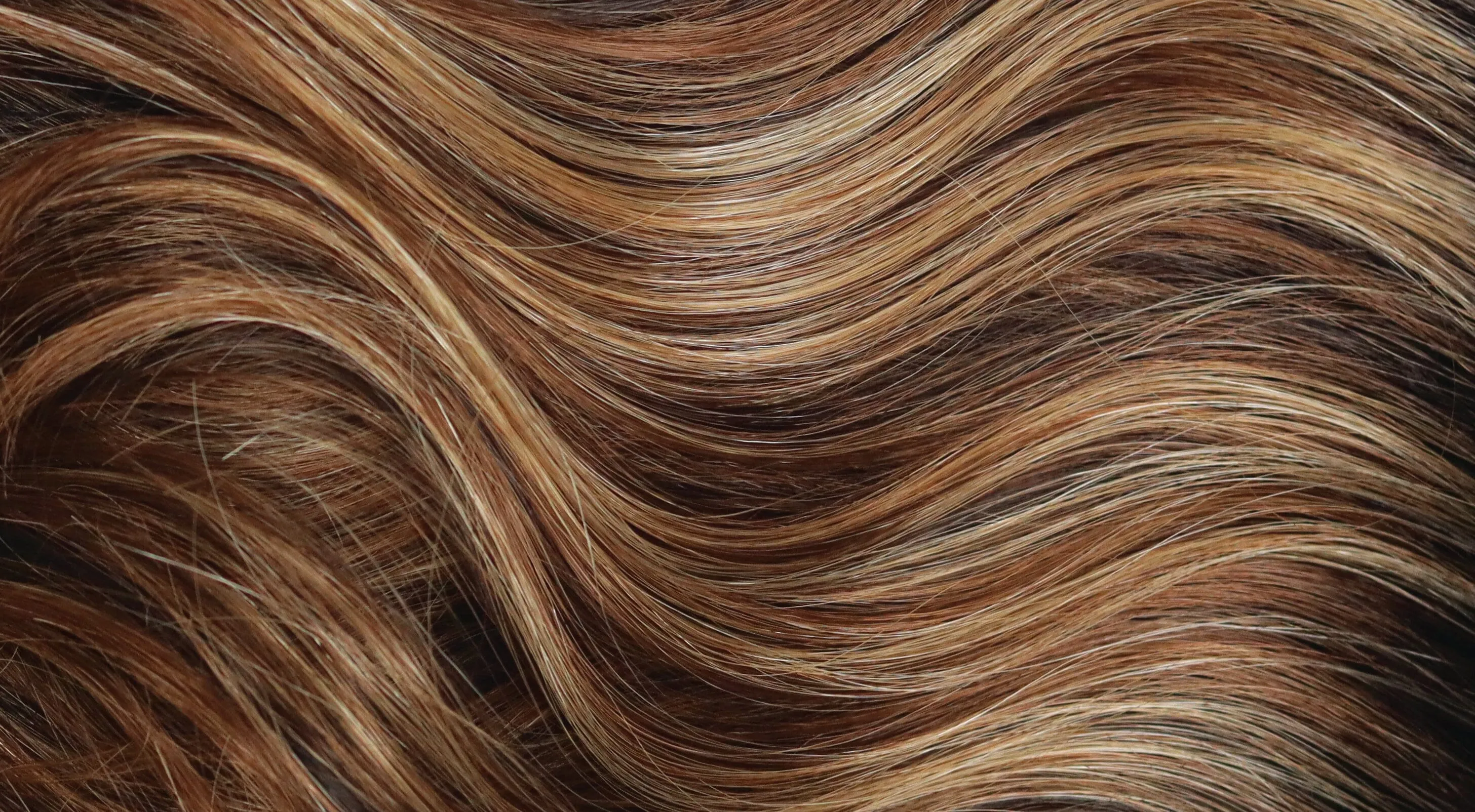 Accessories_Rene of Paris_Wigs Ensley Lace Front Wig by Rene of Paris