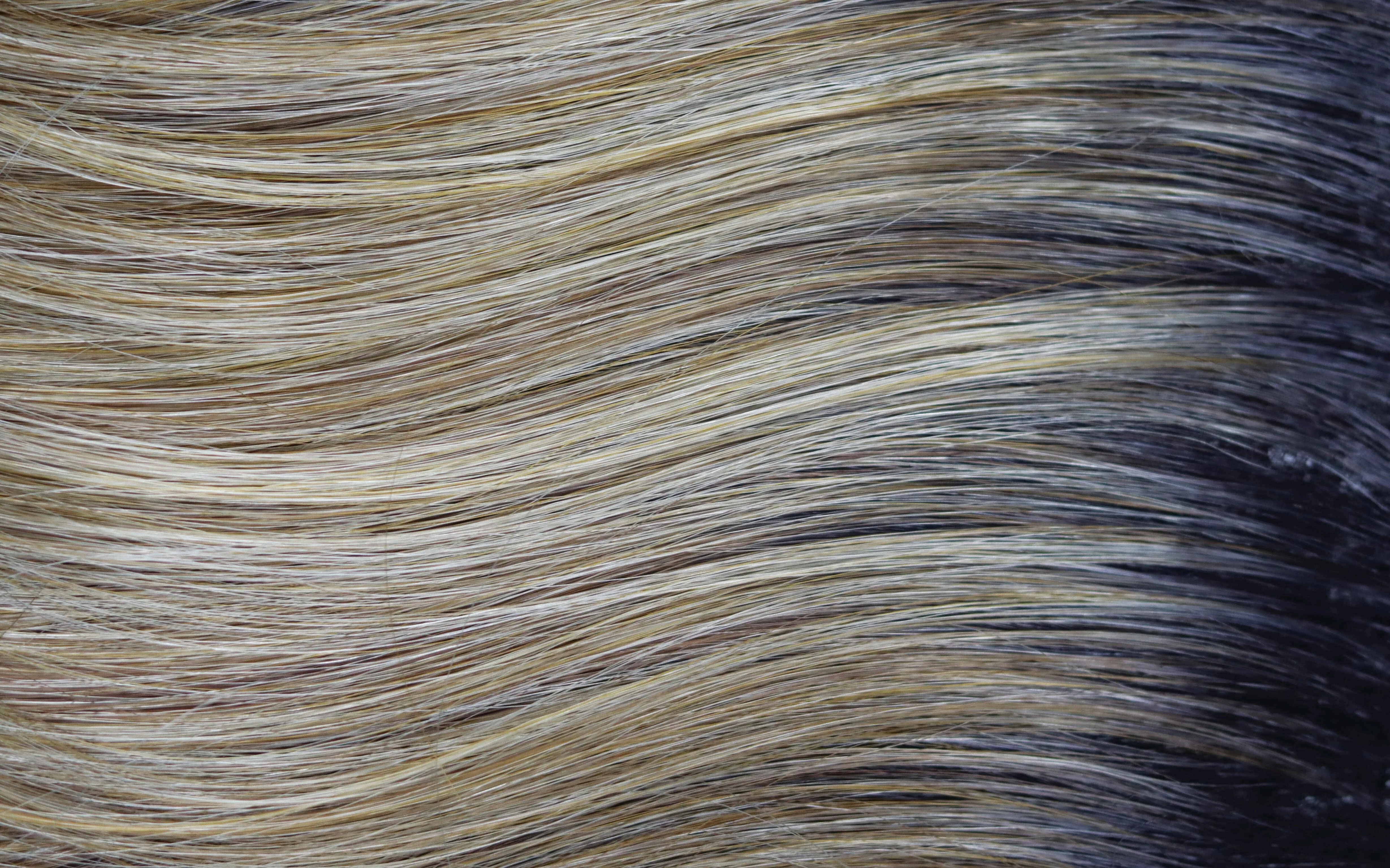 Accessories_Rene of Paris_Wigs Ensley Lace Front Wig by Rene of Paris