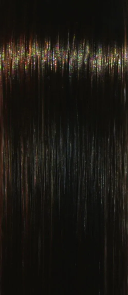 Accessories_Rene of Paris_Wigs Liana Wig by Rene of Paris