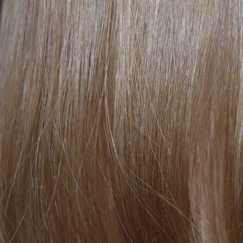Accessories_Wigpro Collection_Wigs 313A H Add-on - single clip by WIGPRO: Human Hair Piece