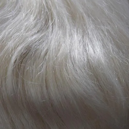 Accessories_Wigpro Collection_Wigs 313E H Add-on, 2 clips by WIGPRO: Human Hair Piece