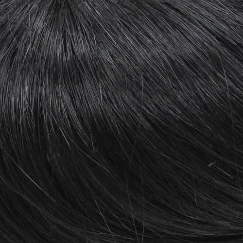 Accessories_Wigpro Collection_Wigs 313E H Add-on, 2 clips by WIGPRO: Human Hair Piece