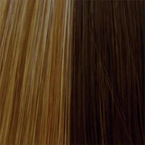 Accessories_Wigpro Collection_Wigs 802 Pull Through by WigPro: Synthetic Hair Extension