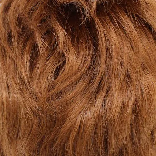 Accessories_Wigpro Collection_Wigs BA813 Fringe Hairpiece by WigPro | Bali Synthetic Hair Pieces