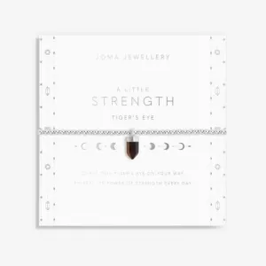 Affirmation Crystal Strength Tiger's Eye Silver 17.5cm Bracelet 6148 Joma Jewellery