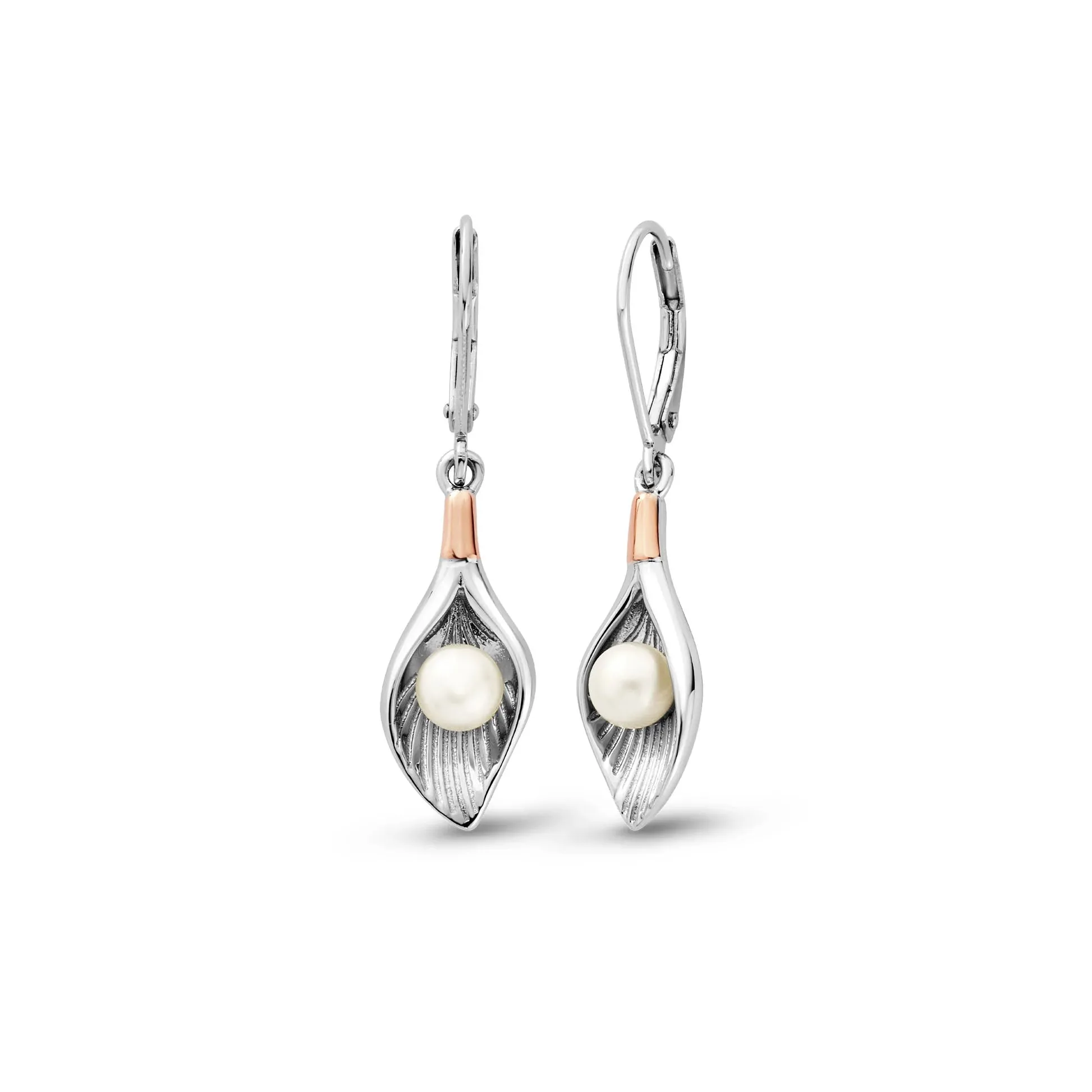 Clogau Jewellery Clogau Beachcomber Shell Silver and Pearl Earrings
