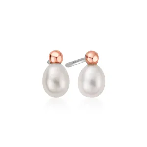 Clogau Jewellery Clogau Welsh Beachcomber Sterling Silver Freshwater Pearl Stud Earrings