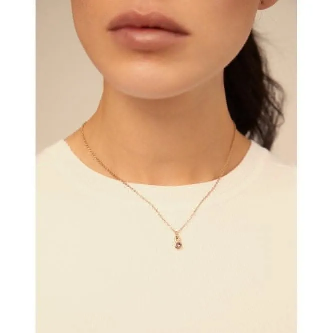 La Vie En Rose Pink Faceted Crystal Charm CHA0180ORORSA0U Unode50 Jewelry And Accessories