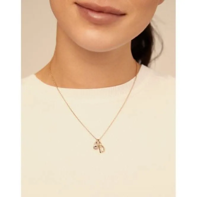 La Vie En Rose Pink Faceted Crystal Charm CHA0180ORORSA0U Unode50 Jewelry And Accessories