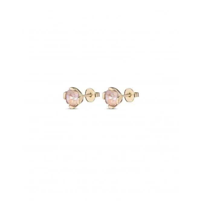 Ladies Charismatic Gold Aura Pink Faceted Crystal Earrings PEN0913RSAORO0U Unode50 Jewelry And Accessories