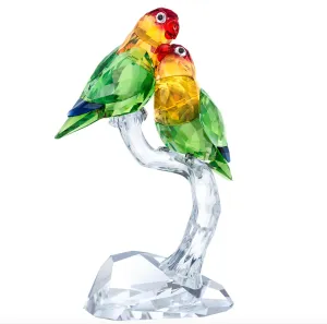 Swarovski Crystal Jewellery Crystal Paradise: Lovebirds