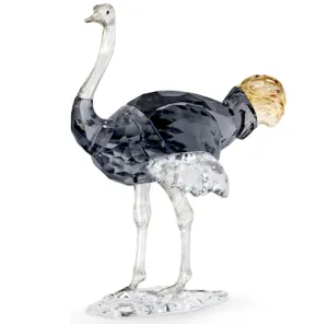 Swarovski Crystal Jewellery Elegance of AF: SCS Ostrich