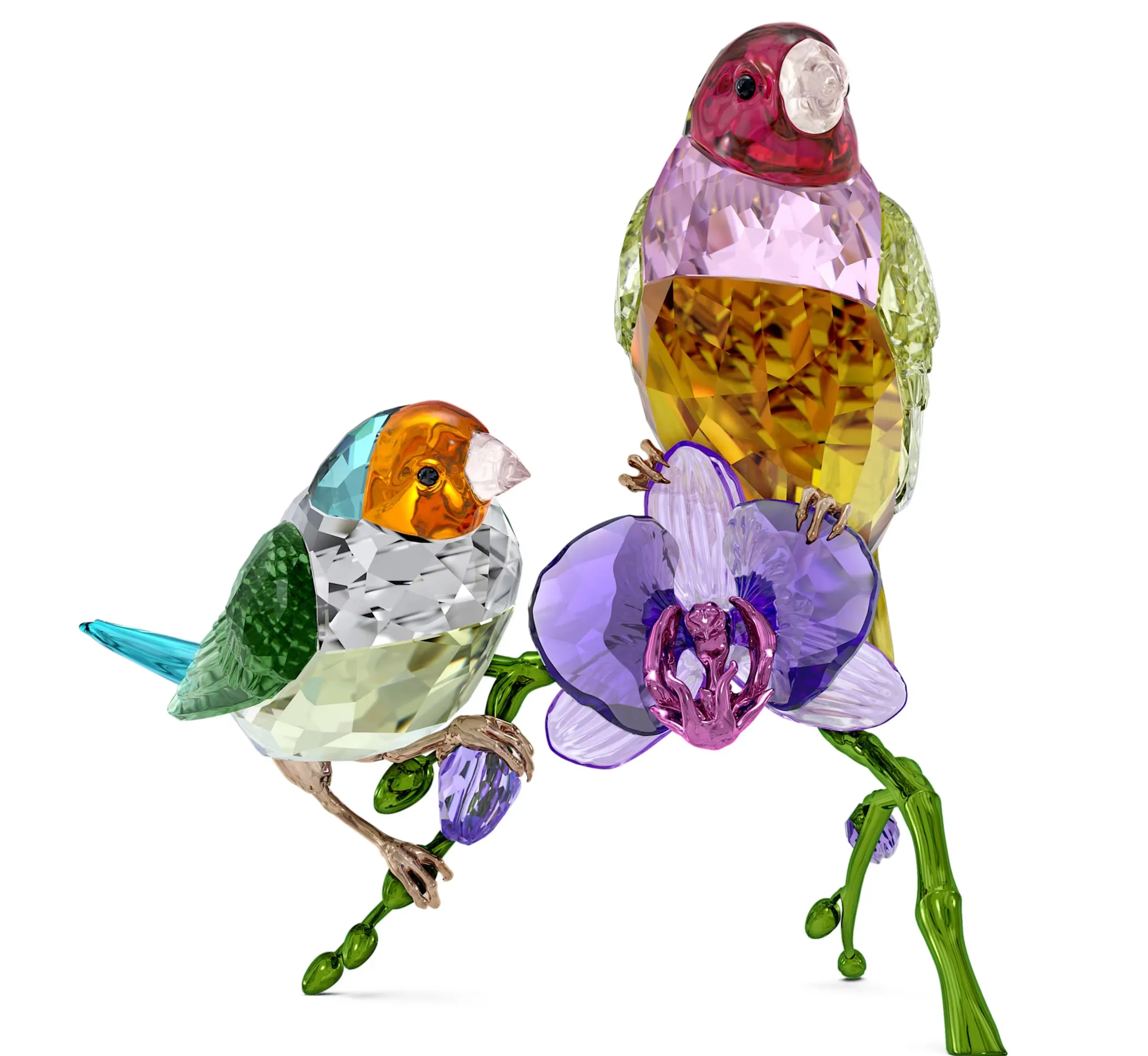 Swarovski Crystal Jewellery Ldyllia SCS Annual Edition 2024 Gouldian Finches