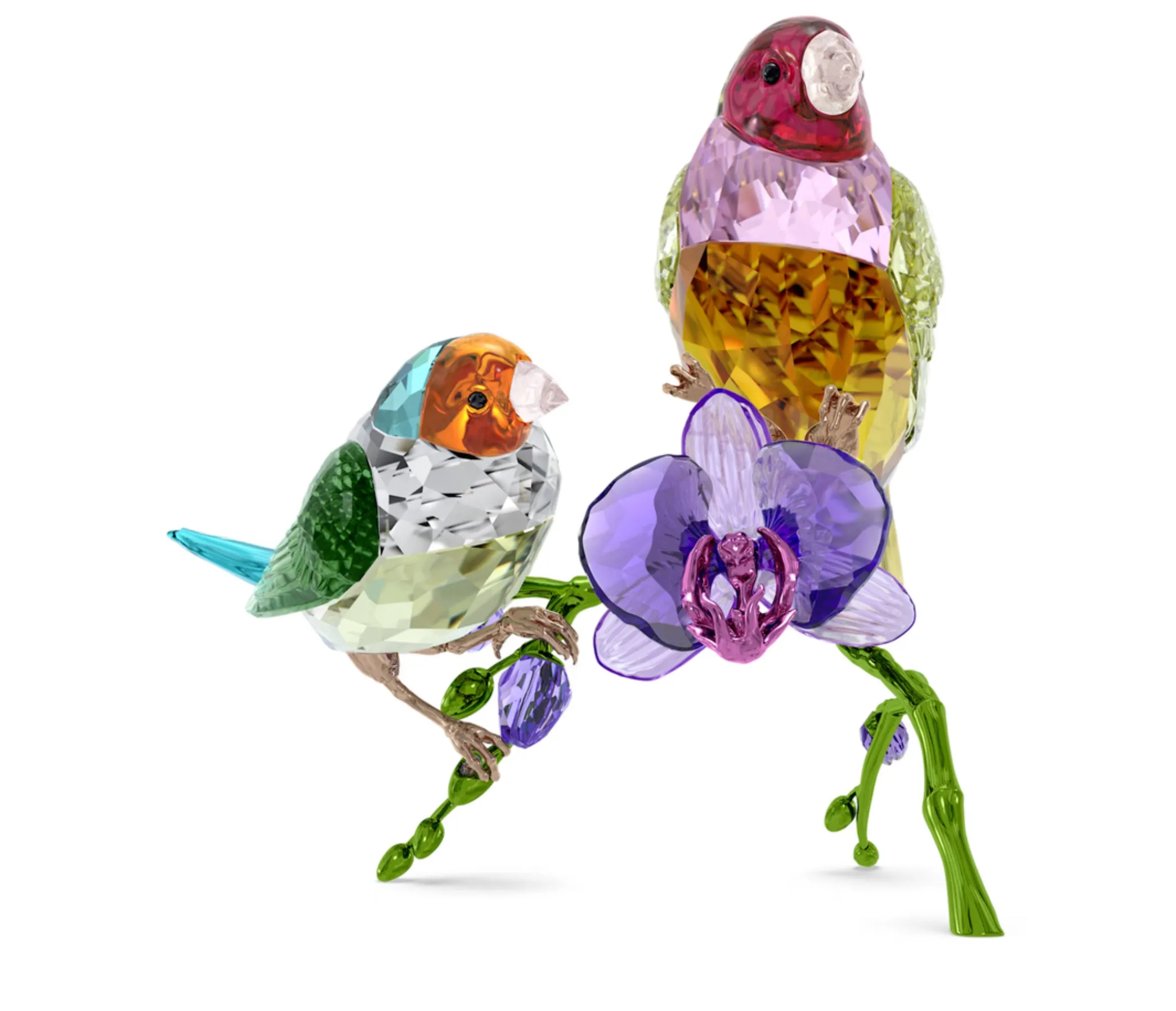 Swarovski Crystal Jewellery Ldyllia SCS Annual Edition 2024 Gouldian Finches