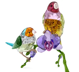 Swarovski Crystal Jewellery Ldyllia SCS Annual Edition 2024 Gouldian Finches